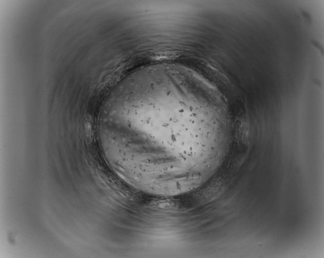 X0000101470655200807211337