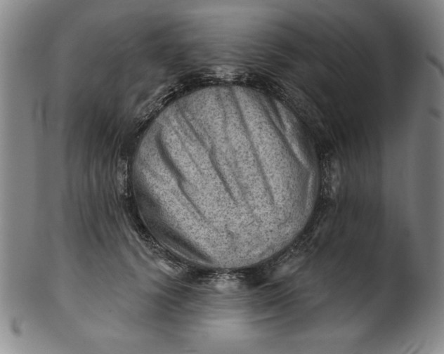 X0000101470656200807211337