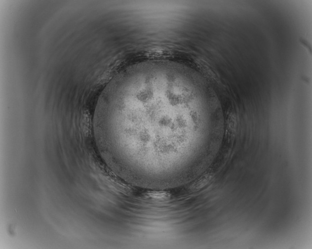 X0000101470659200807211338