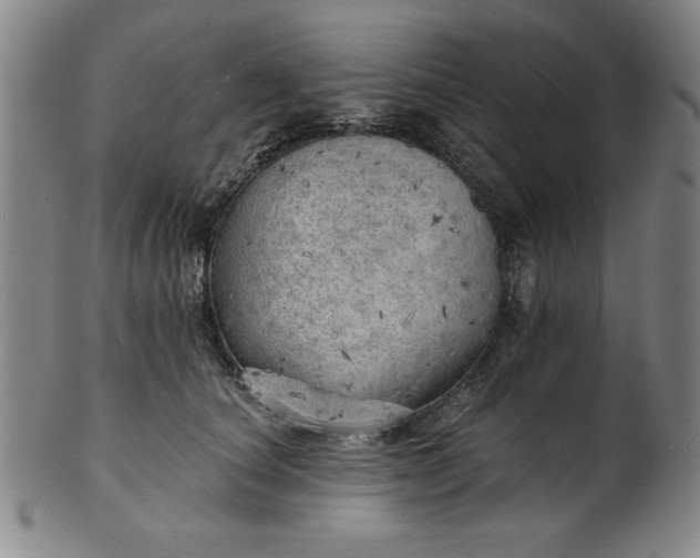 X0000101470660200807211338