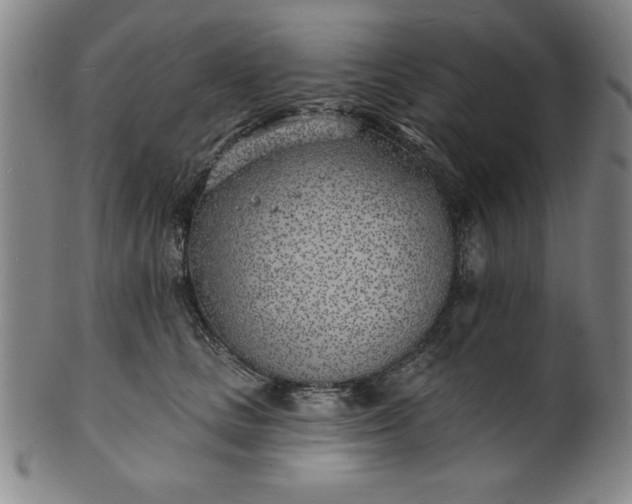 X0000101470661200807211338