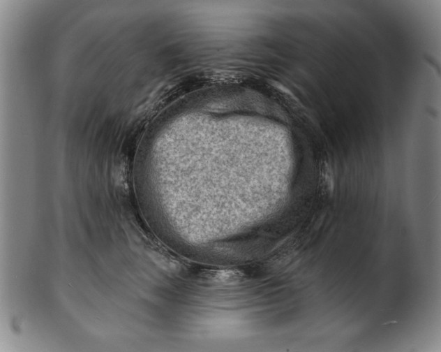 X0000101470663200807211338