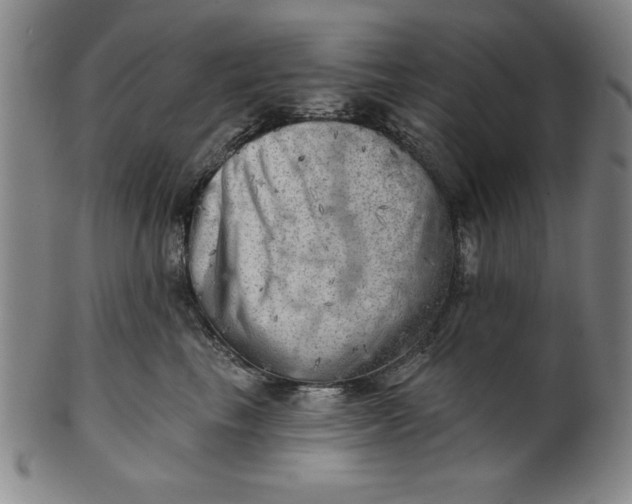 X0000101470665200807211338