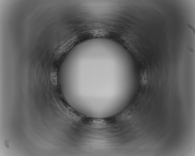 X0000101470666200807211338