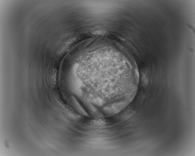 X0000101470668200807211338