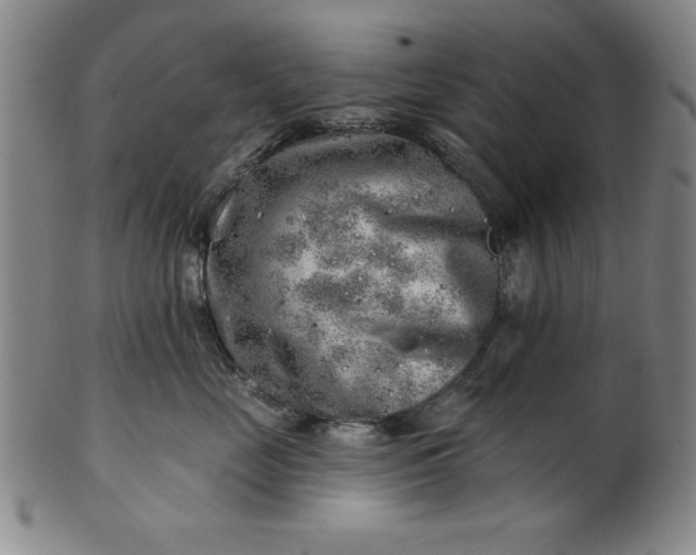 X0000101470669200807211338