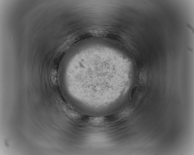 X0000101470671200807211338