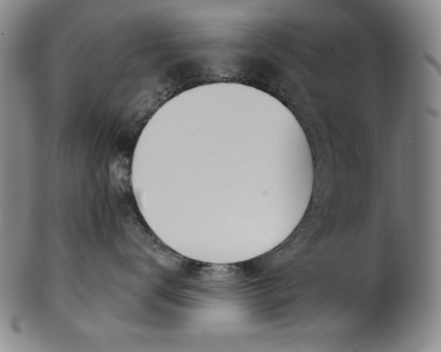 X0000101470672200807211338