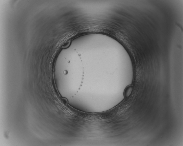 X0000101470673200807211337