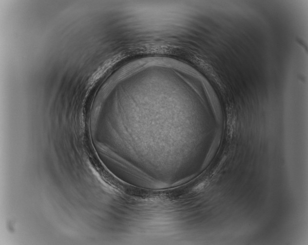 X0000101470674200807211337