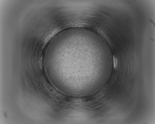 X0000101470675200807211337