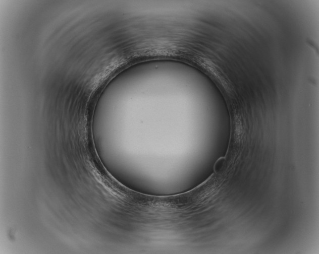 X0000101470677200807211337