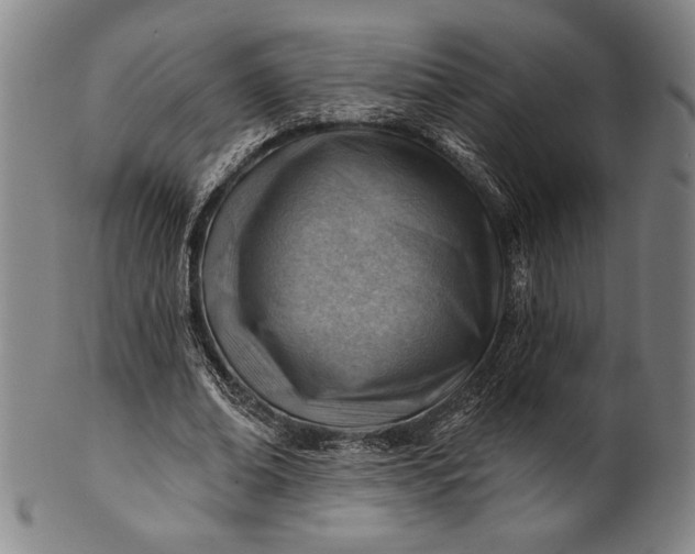 X0000101470678200807211337