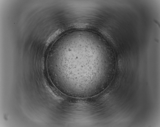 X0000101470682200807211337