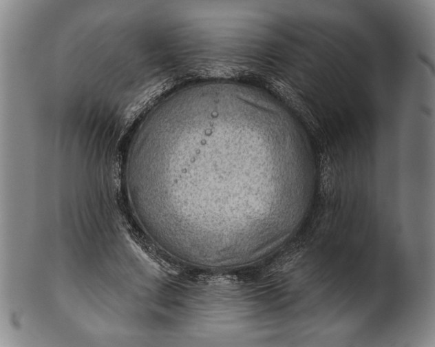 X0000101470683200807211337