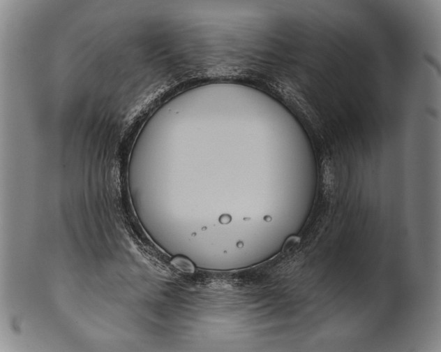 X0000101470684200807211337