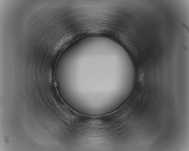 X0000101470685200807211337