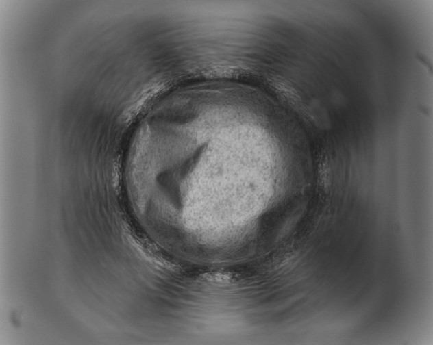 X0000101470687200807211337