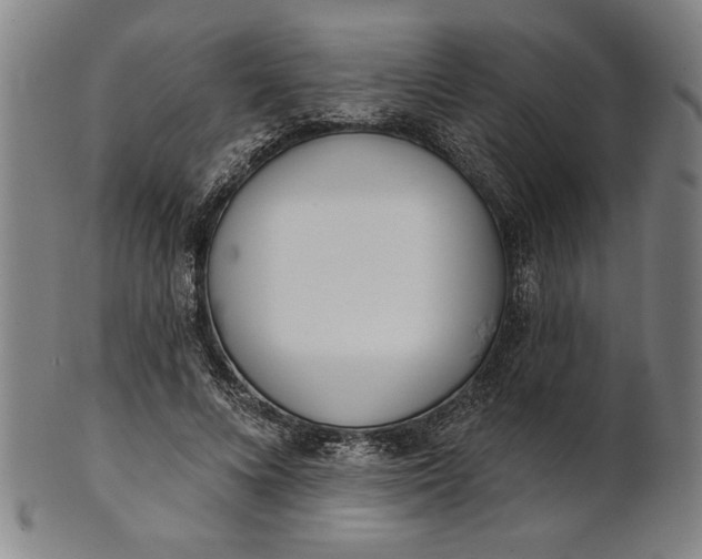 X0000101470688200807211337