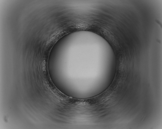 X0000101470689200807211337