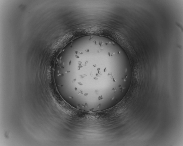 X0000101470690200807211337