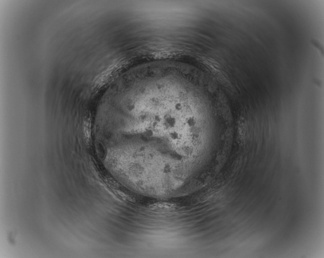 X0000101470691200807211337