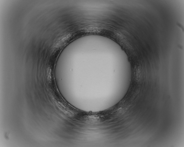 X0000101470692200807211337