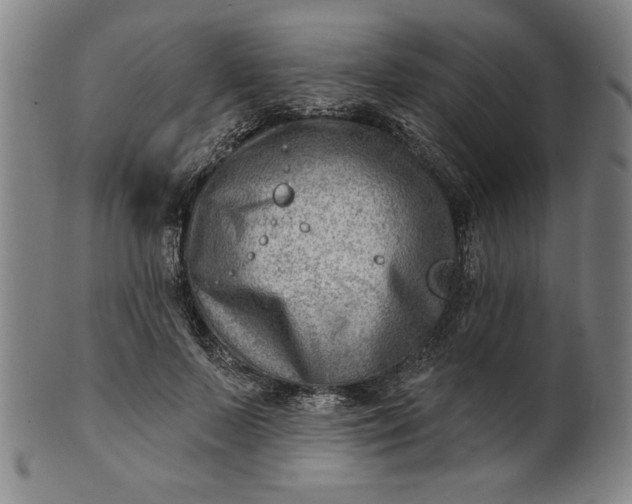 X0000101470695200807211337