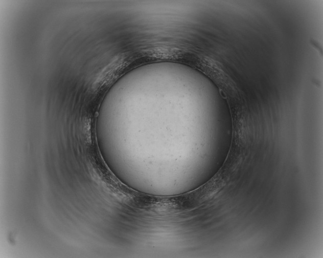 X0000101470696200807211337