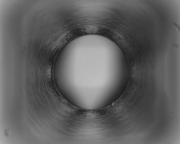 X0000101470697200807211337