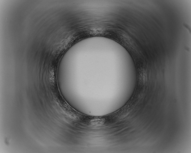 X0000101470700200807211337