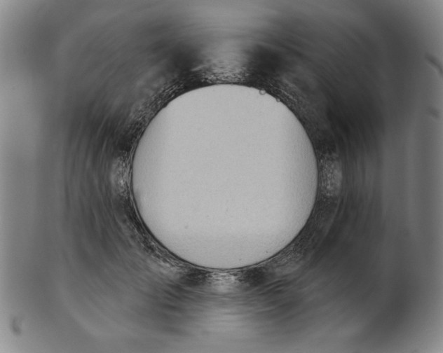 X0000101470701200807211337