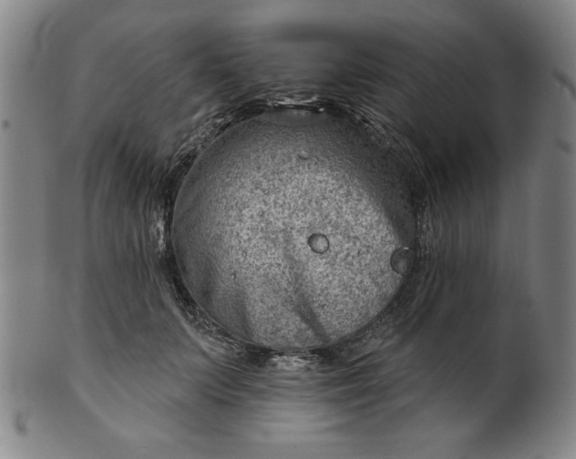 X0000101470703200807211337