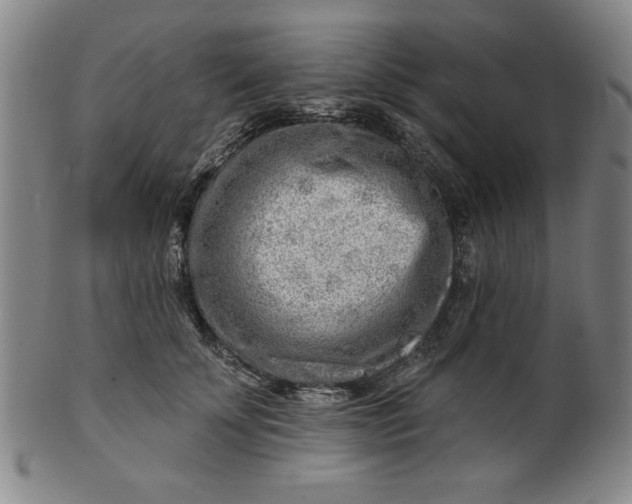 X0000101470707200807211337