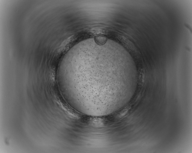 X0000101470710200807211337