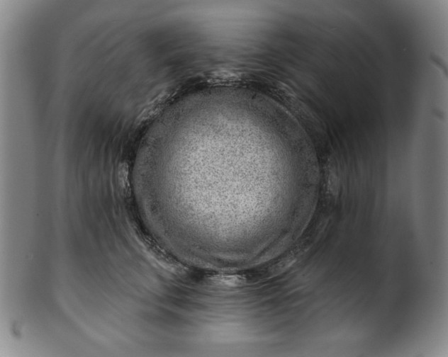 X0000101470711200807211337