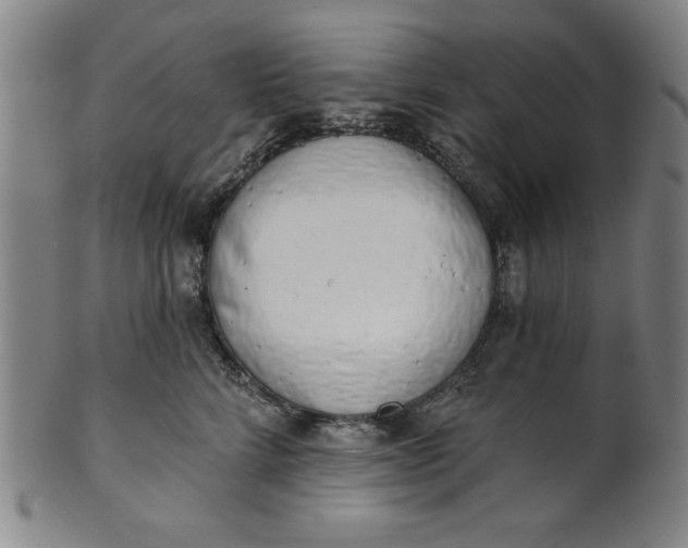 X0000101470712200807211336