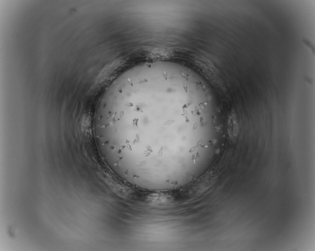 X0000101470714200807211336