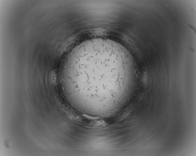 X0000101470715200807211336