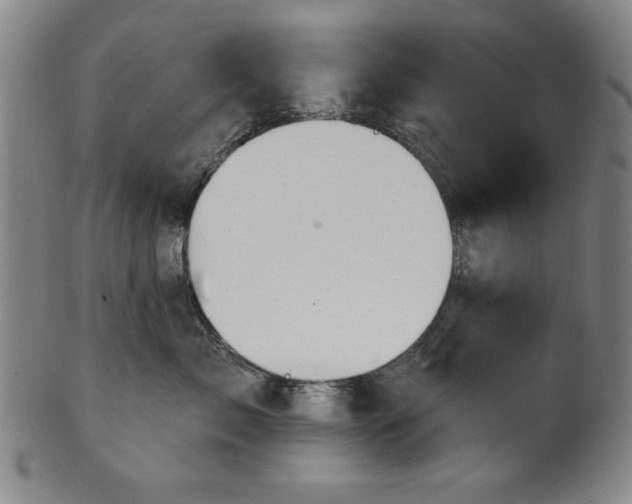 X0000101470717200807211336