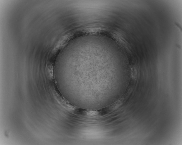 X0000101470718200807211336