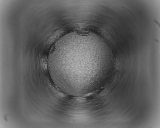 X0000101470719200807211336