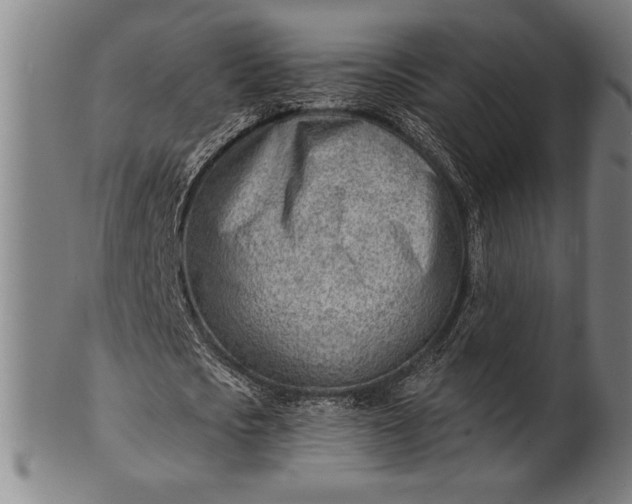 X0000101470721200807211336