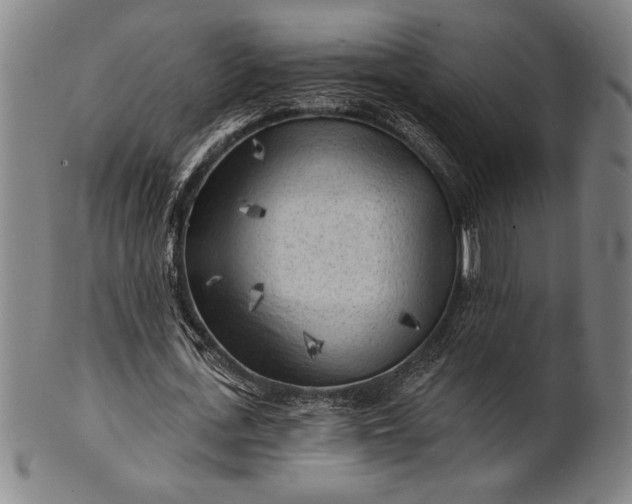 X0000101470723200807211336