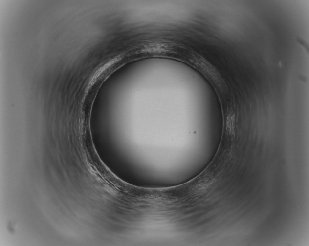 X0000101470724200807211336