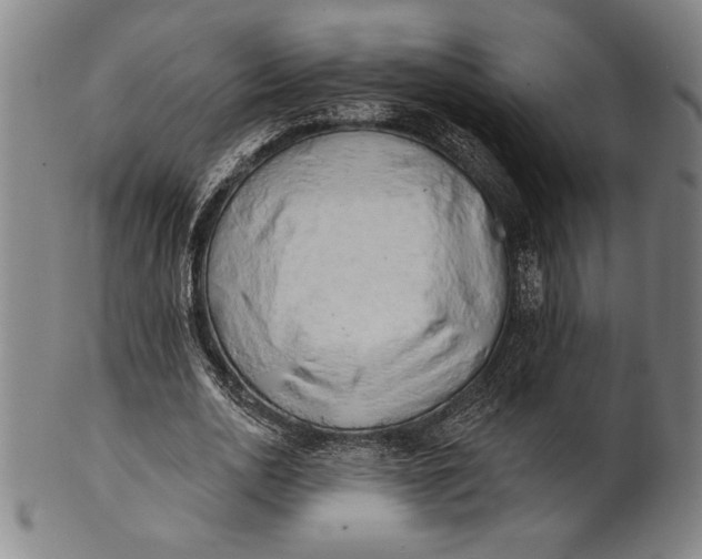 X0000101470726200807211336