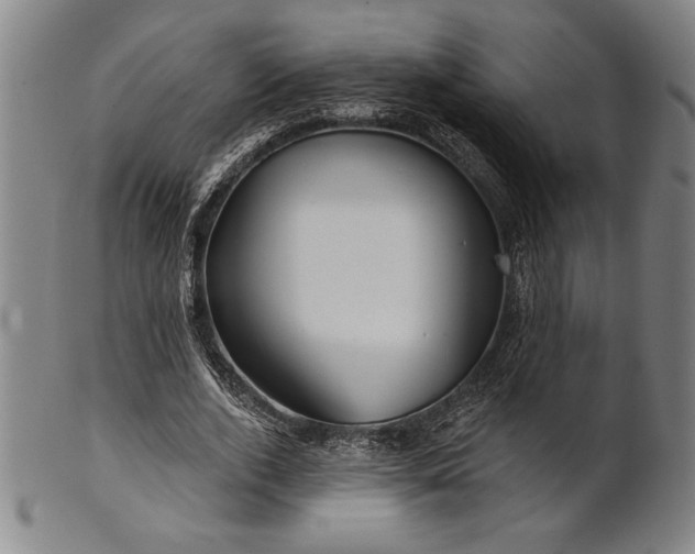 X0000101470728200807211336