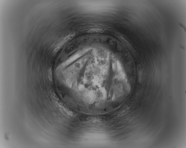 X0000101470729200807211336