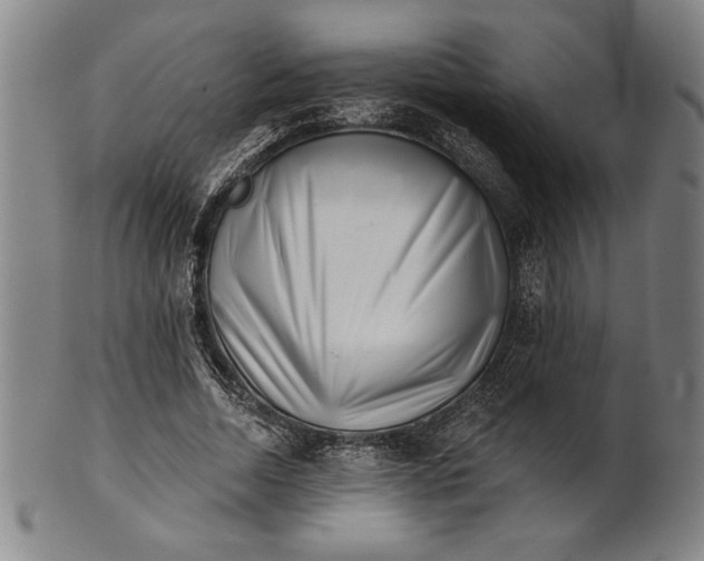 X0000101470730200807211336