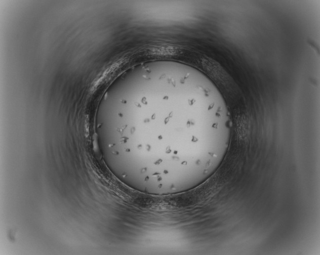 X0000101470731200807211336